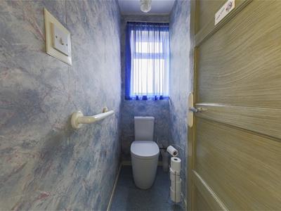 Picture 7